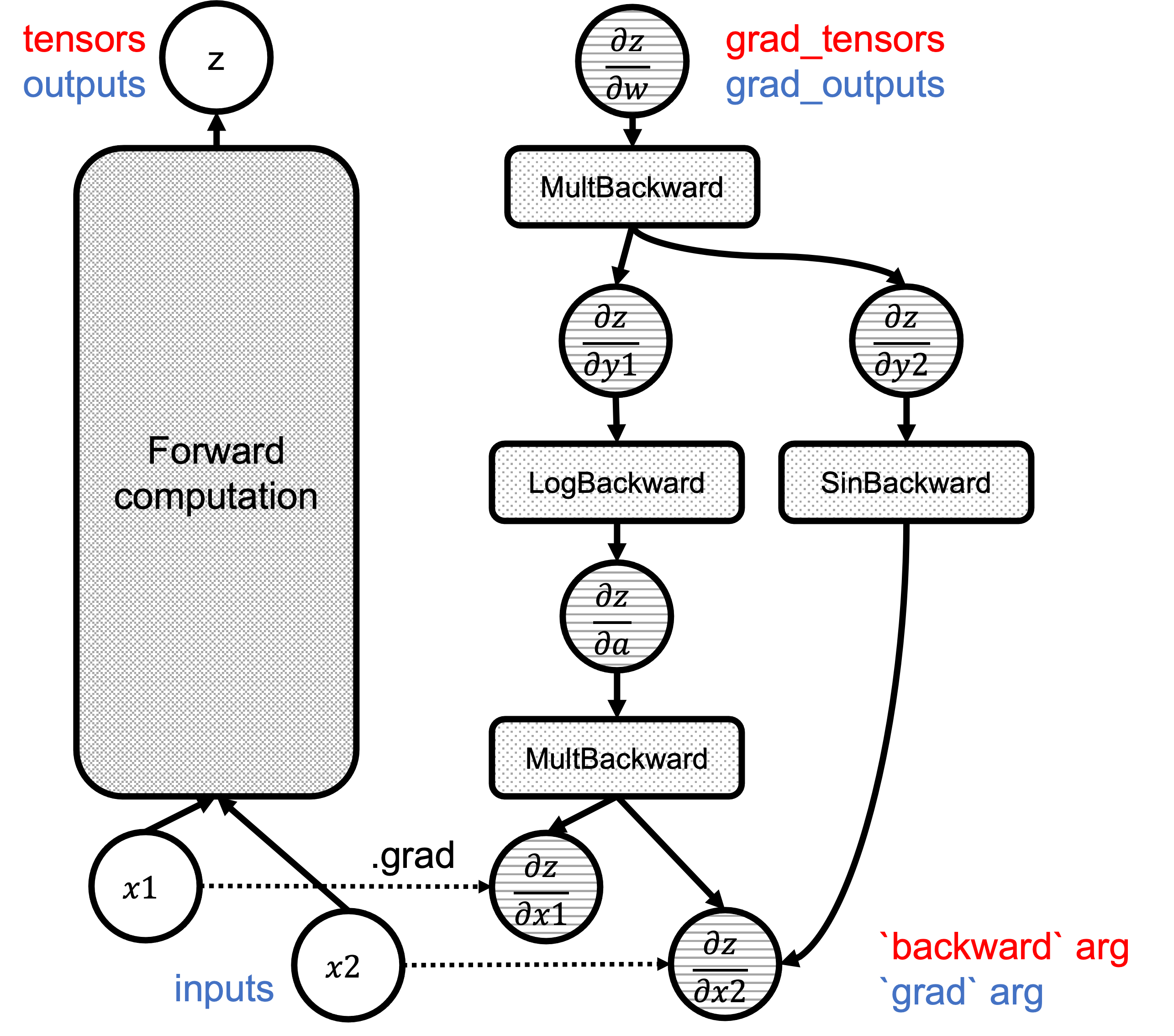 Pytorch autograd illustration